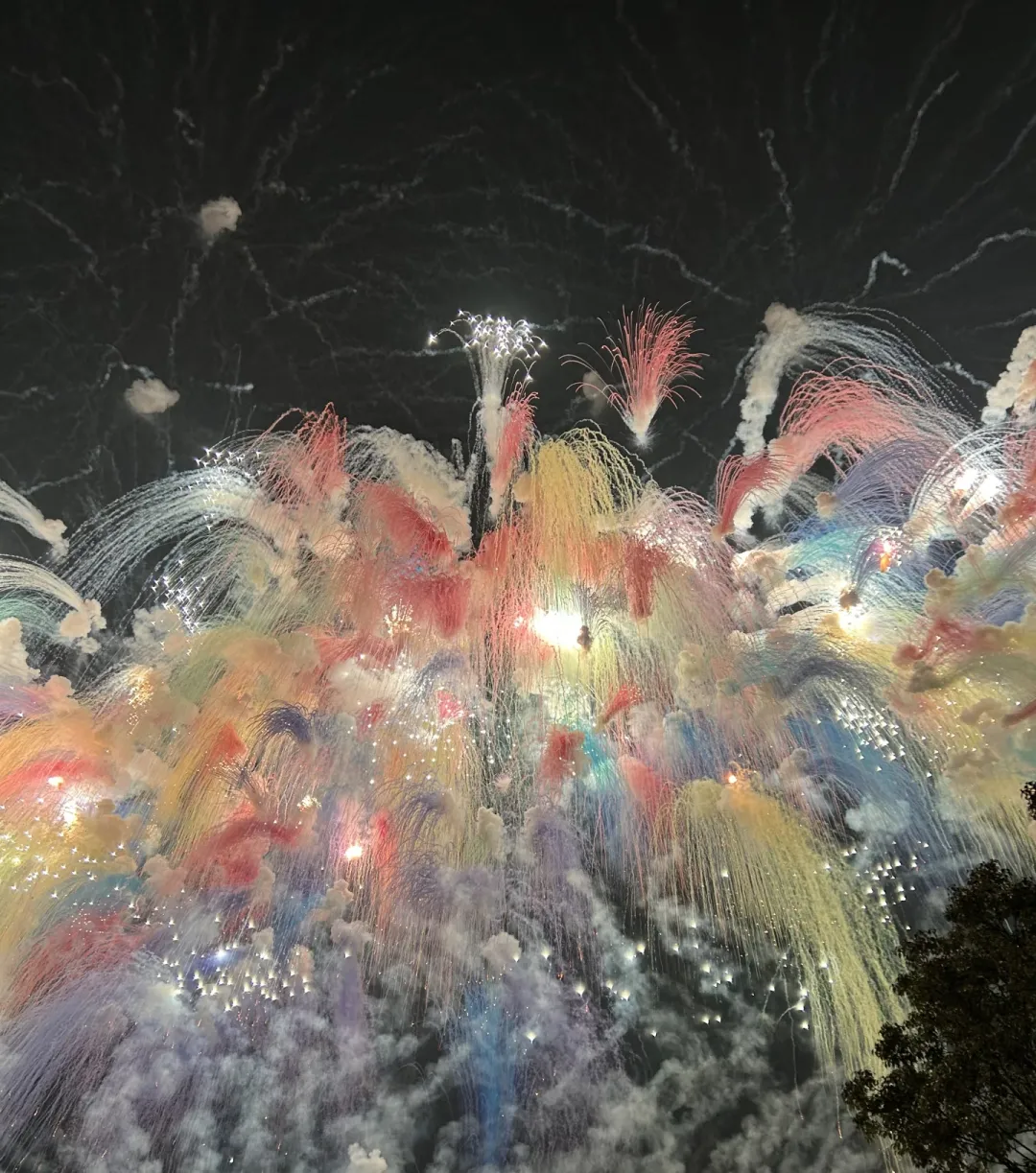 70b6dc5104e9e4d61bf16fbabd30283d-sz_1616674