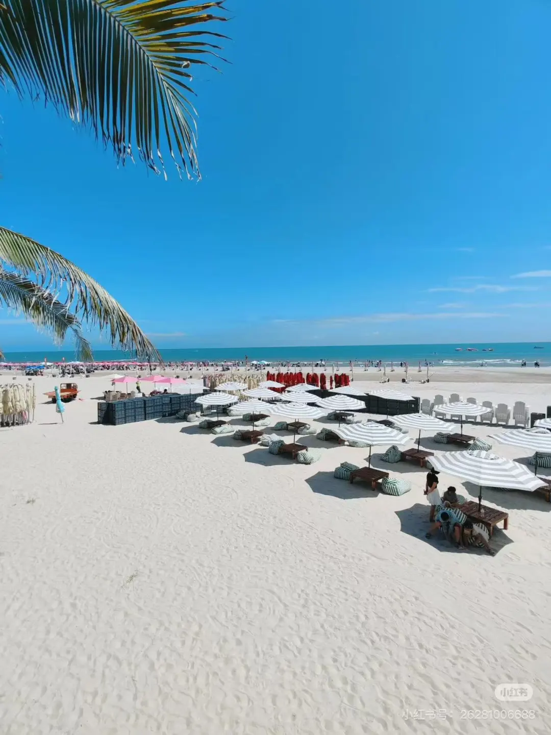 70e7e70f529c44dde7fb116e38952a83-sz_234138