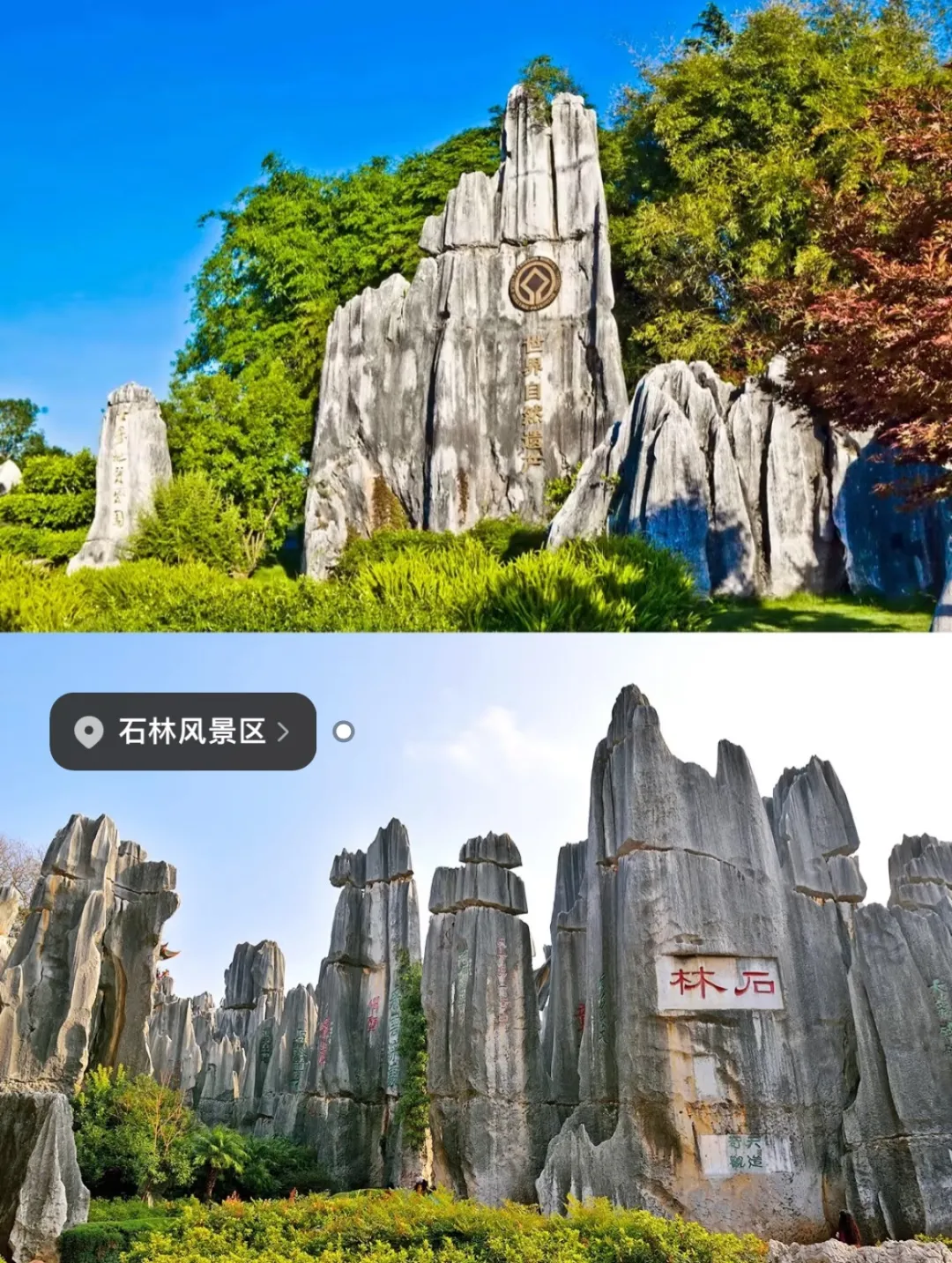 718d42d990ffca653c2548c4ff8d9dd8-sz_614718