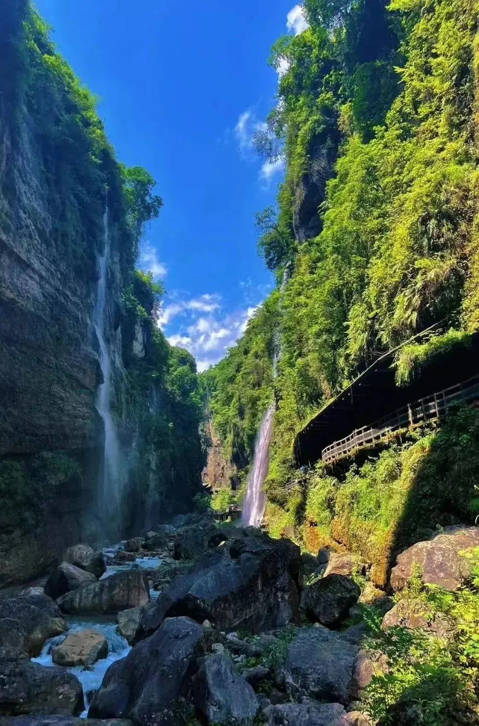 71998a53e664453e3ad81780605a981b-sz_285357-1