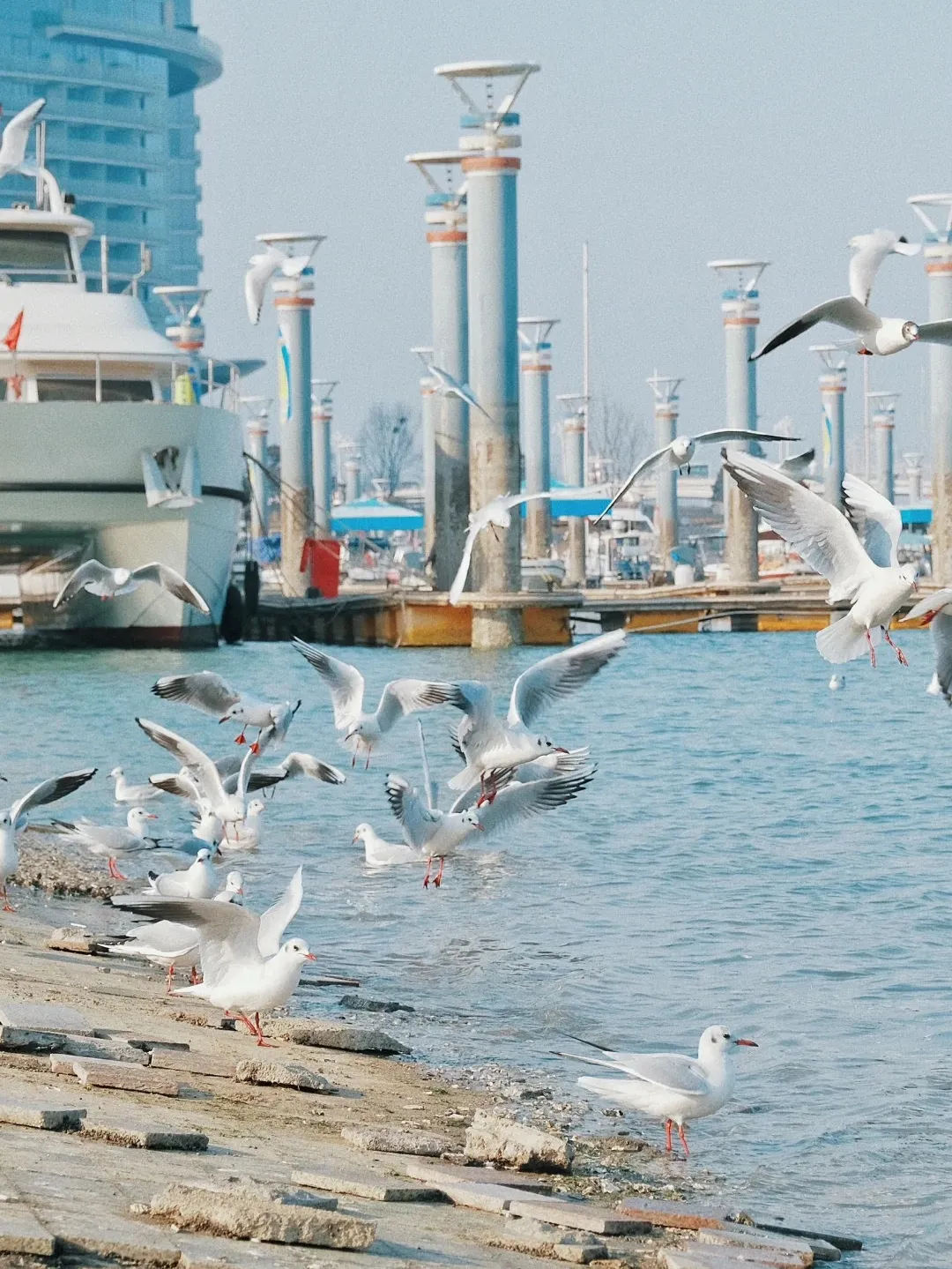 71b8752afbd23d459bc96dab56806a2b-sz_556962 71b8752afbd23d459bc96dab56806a2b-sz_556962