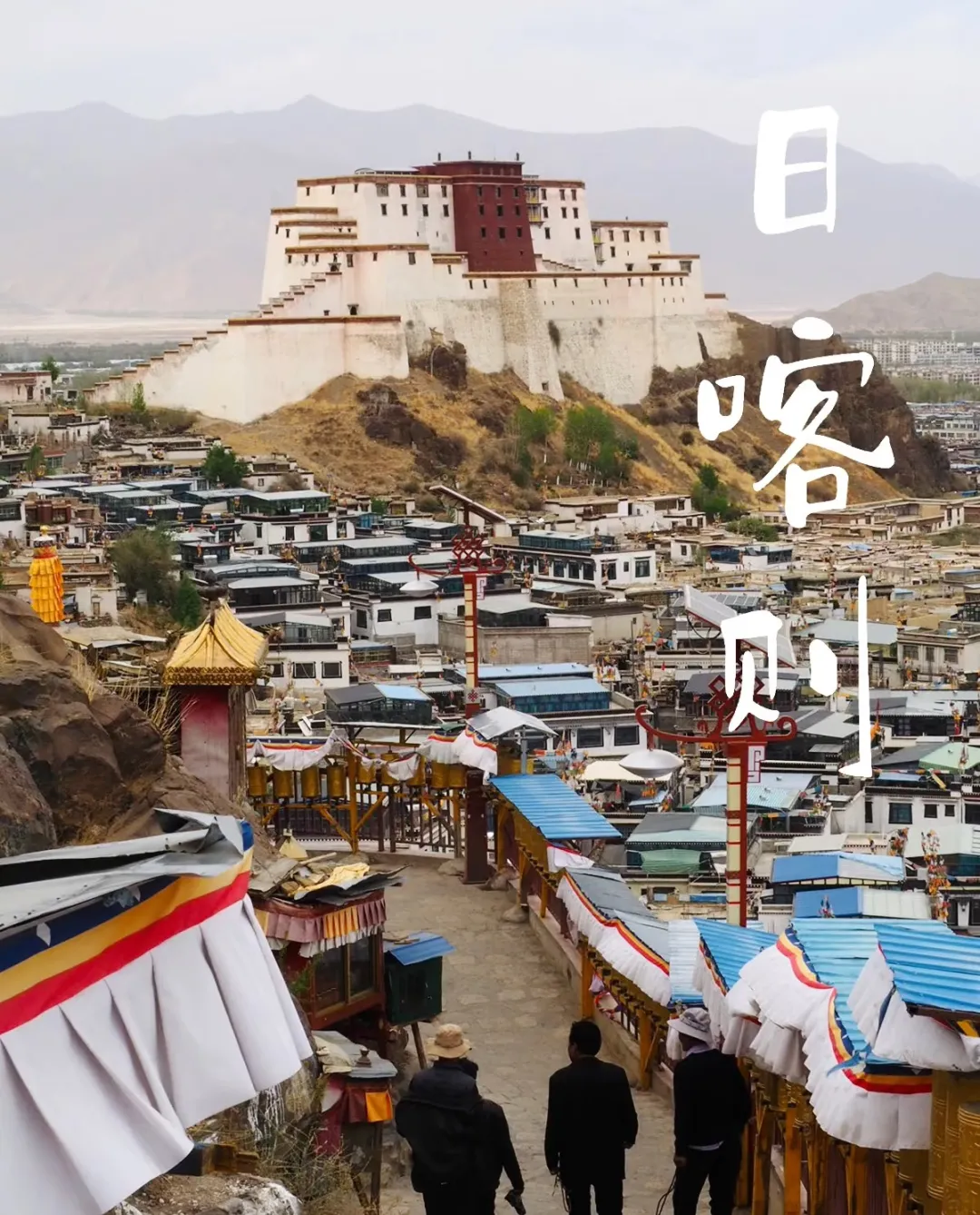 71bfd7a24e4b0557fac2223556a05f7a-sz_547042