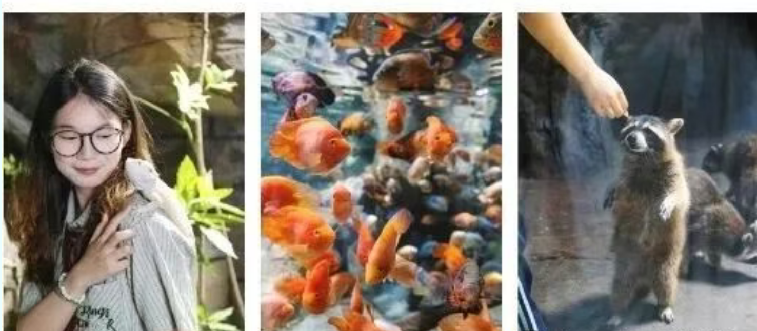 726bbd47f67dd22bfa506df059509ca0