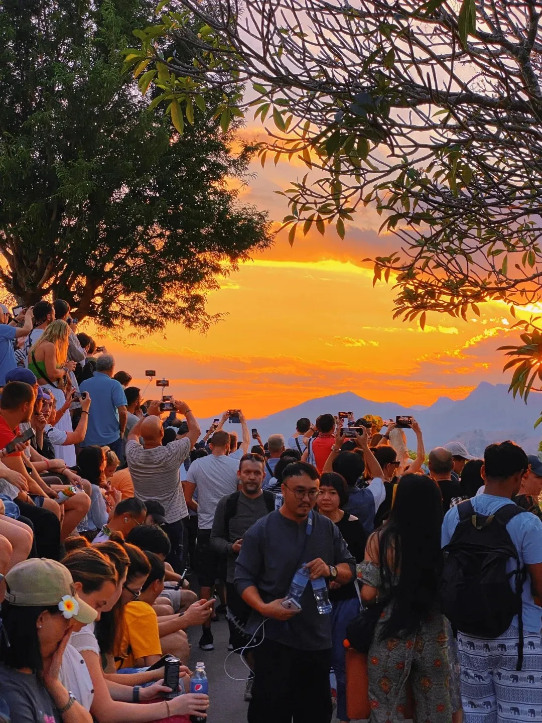 7287c04310bbc306e0cb7911eb0db347-sz_588199