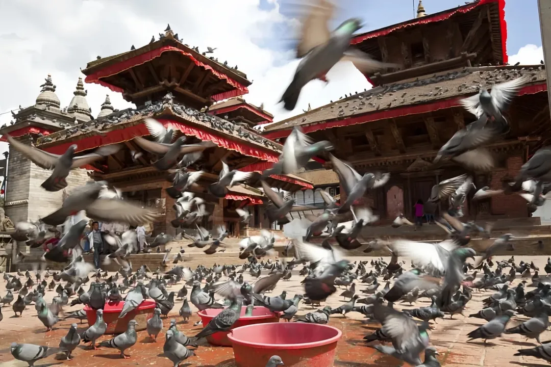 73447268896288f80abfafe7a2355b0d-sz_456154-1