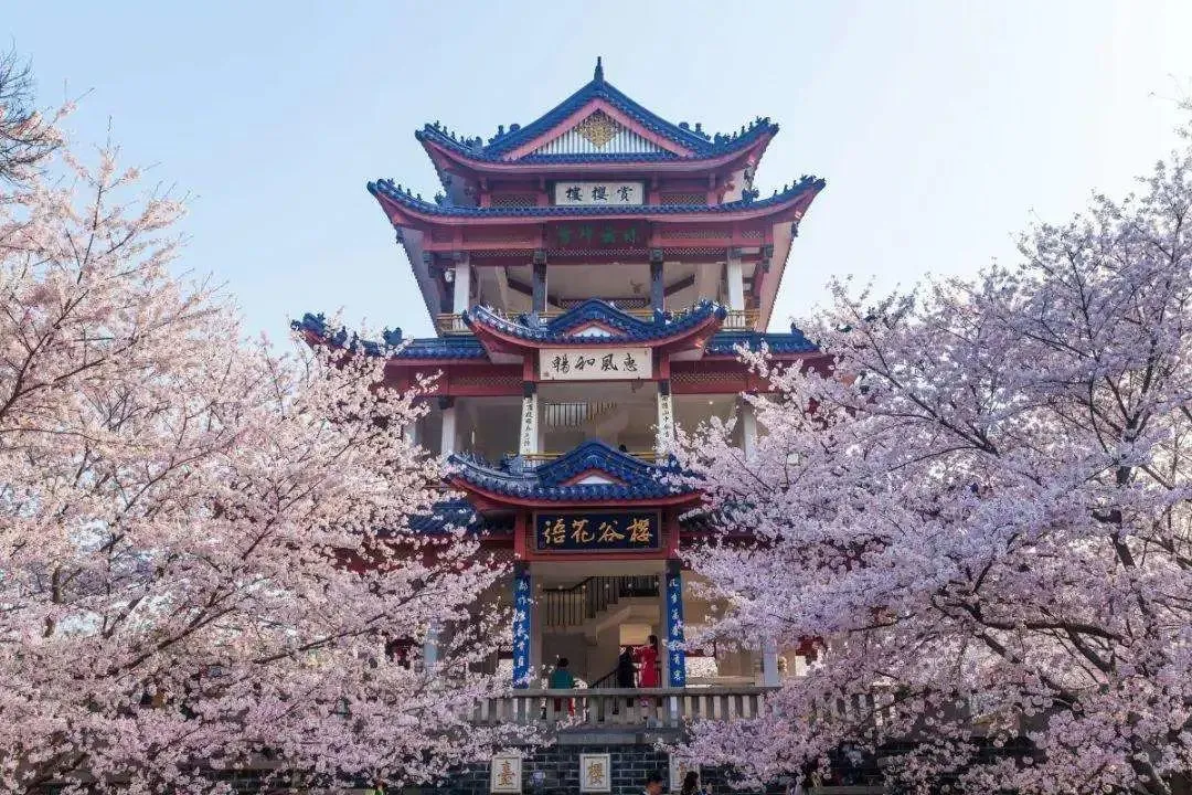 74861be55ae7167a40324b61c23e499e-sz_214401-2