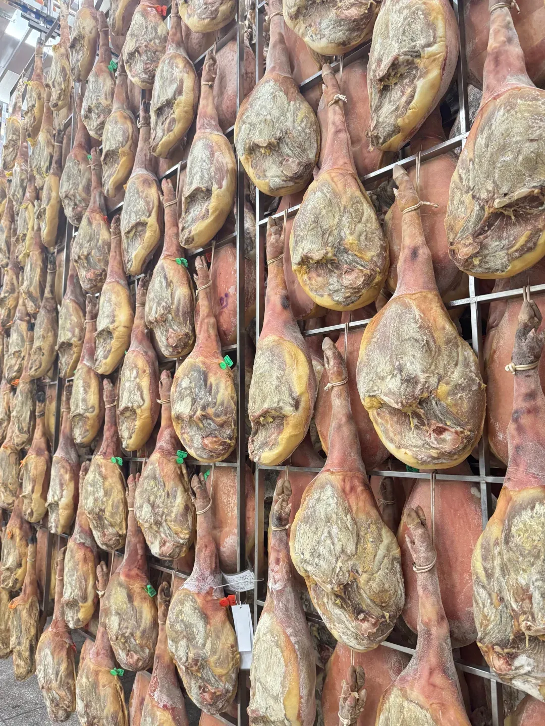 748ab0efc9fe6a2c3d7d2e8689cbee52-sz_4180034