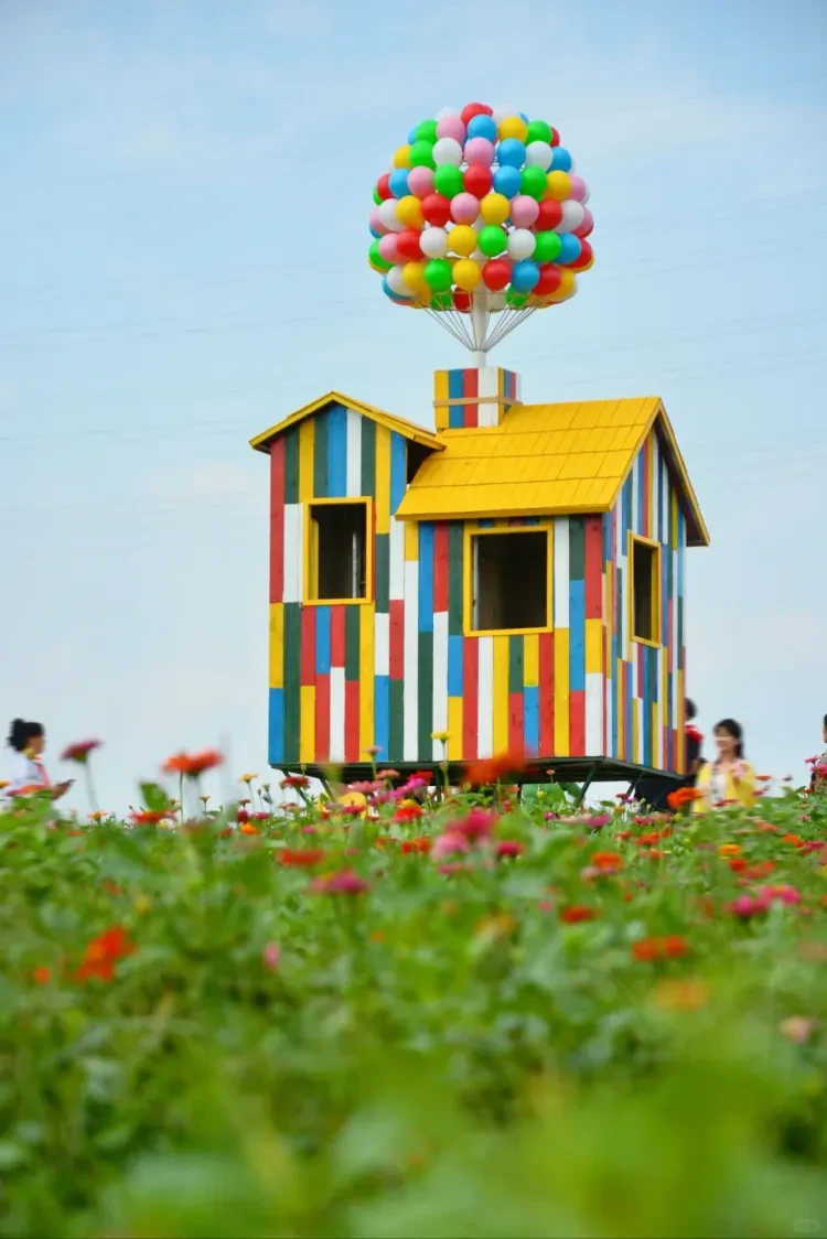 74cf683e0cb0d8cdff12c697ef5c08ed-sz_2186020 74cf683e0cb0d8cdff12c697ef5c08ed-sz_2186020