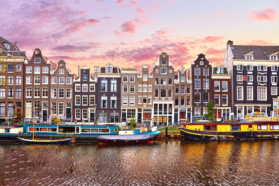 753fad0e49b5c854a61955d96774da31-sz_989062 753fad0e49b5c854a61955d96774da31-sz_989062