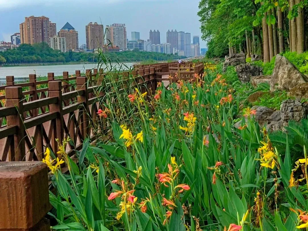 75774c07818d2d08831fb696609ae7f5-sz_221516 75774c07818d2d08831fb696609ae7f5-sz_221516