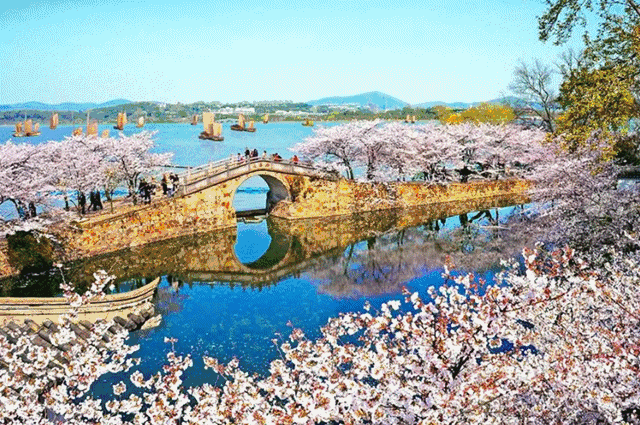 7580672b017e49be9c1920ec6692a3c0-sz_634129-2