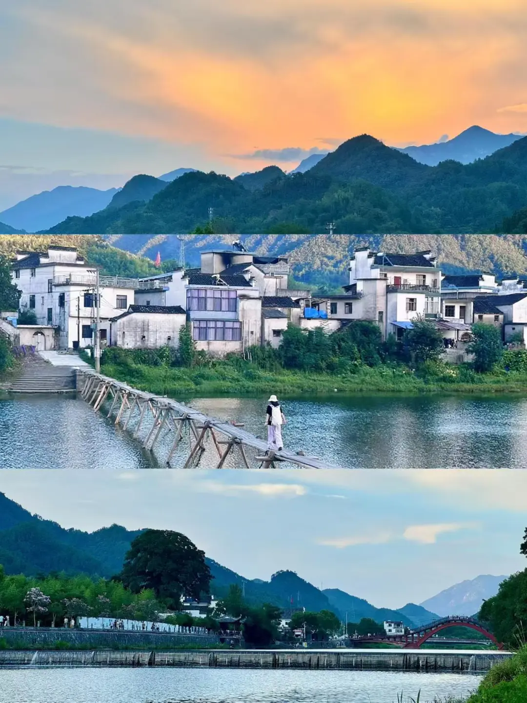 766e00a372ed6e03b67a0efc7d55a999-sz_339336