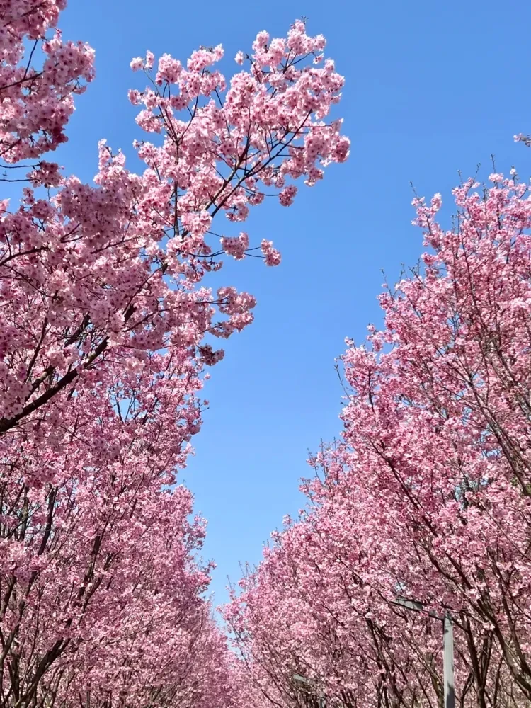 76a25ee984f5113d45cffebfd1743d6d-sz_3407850