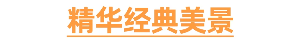 7726b4142075aae7e369d0b68f206873-sz_1454111 7726b4142075aae7e369d0b68f206873-sz_1454111