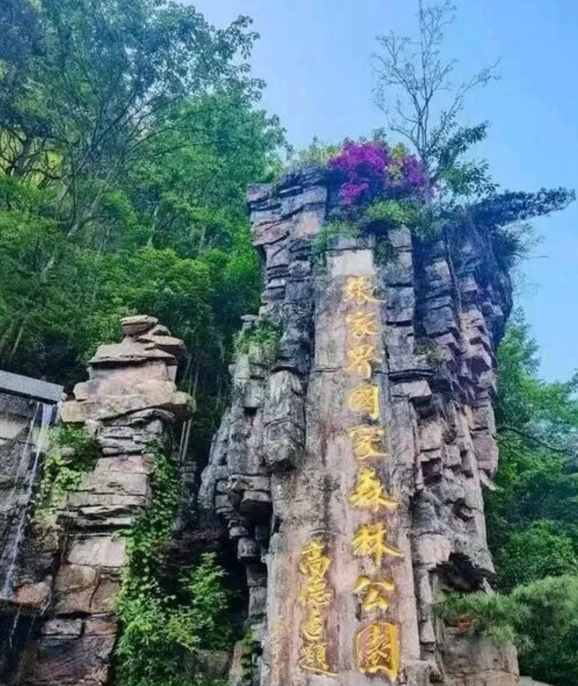 77ae14b147000bd591b4dd1deaddc1e8