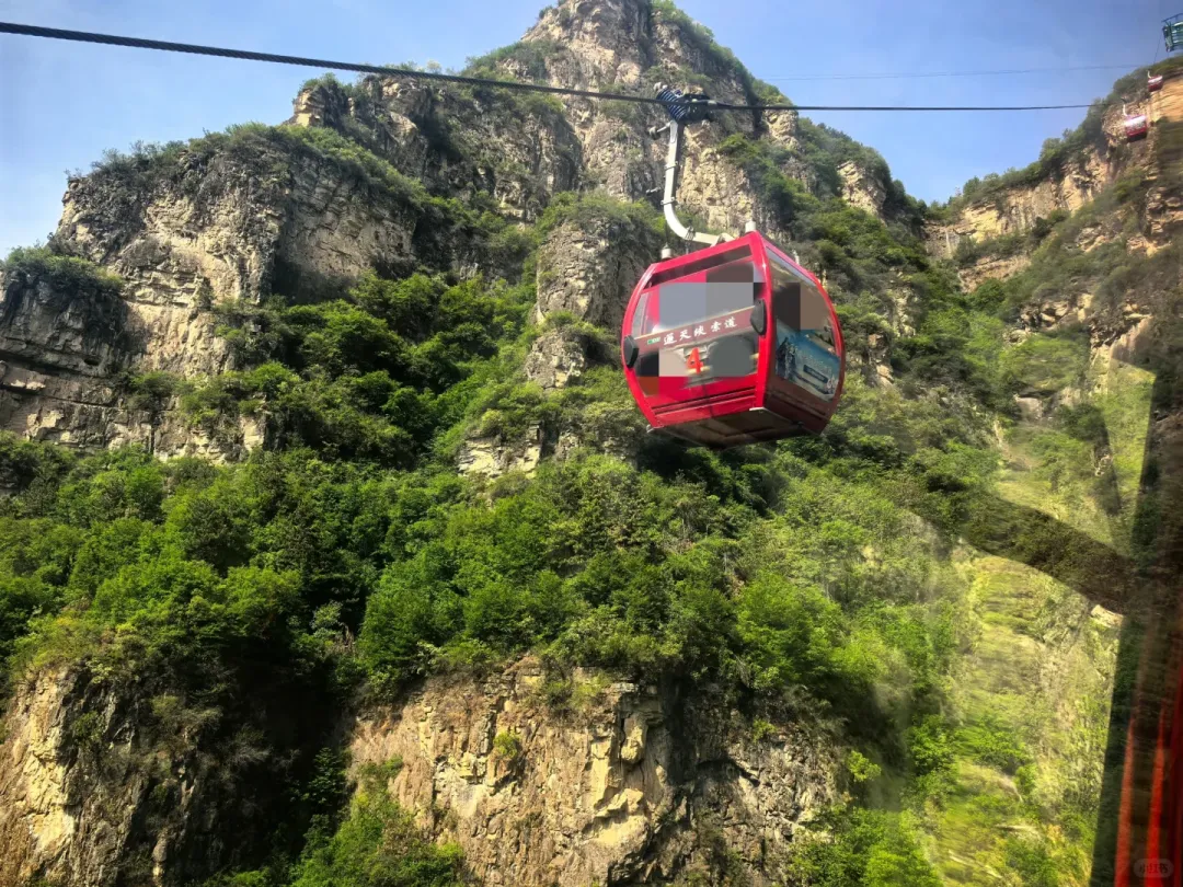 77b6b9201ddc0e40a66a955d57554696-sz_3314337