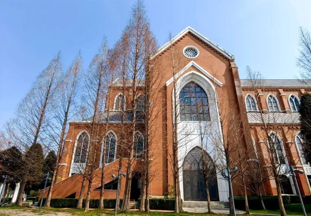 77fe51c355f493bf52cf1d66a20bb864-sz_223500