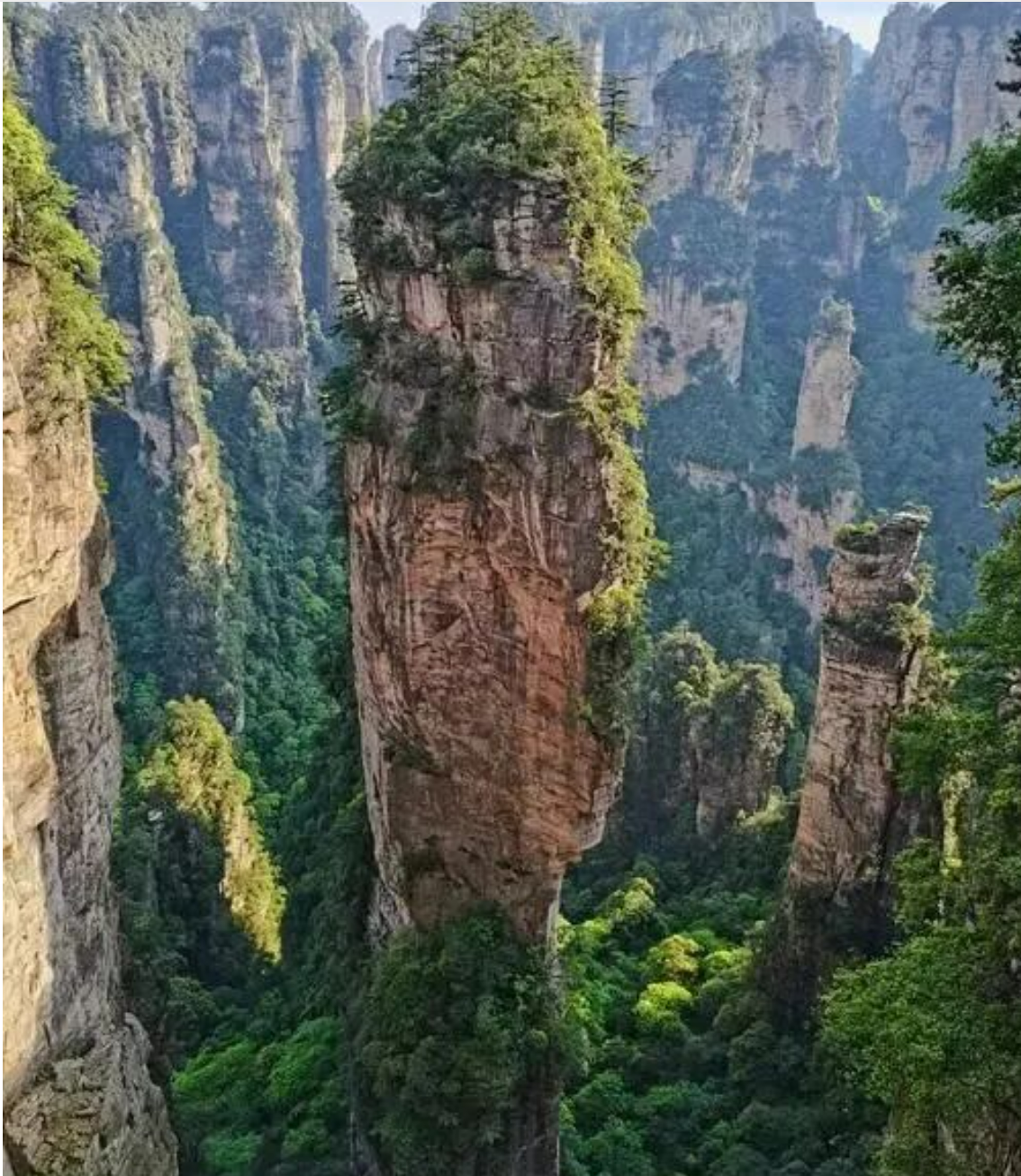 78182c1137409726c3f477d019428bb4