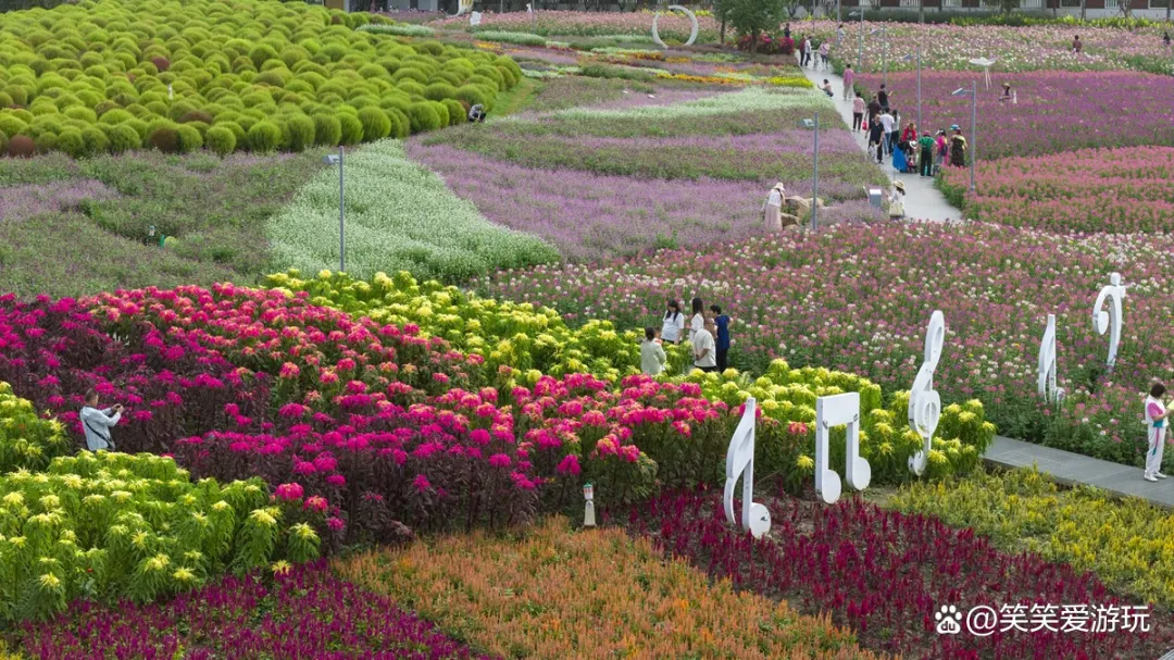 7836b0eaeb2f7918e09a0fe4075def1a-sz_479563