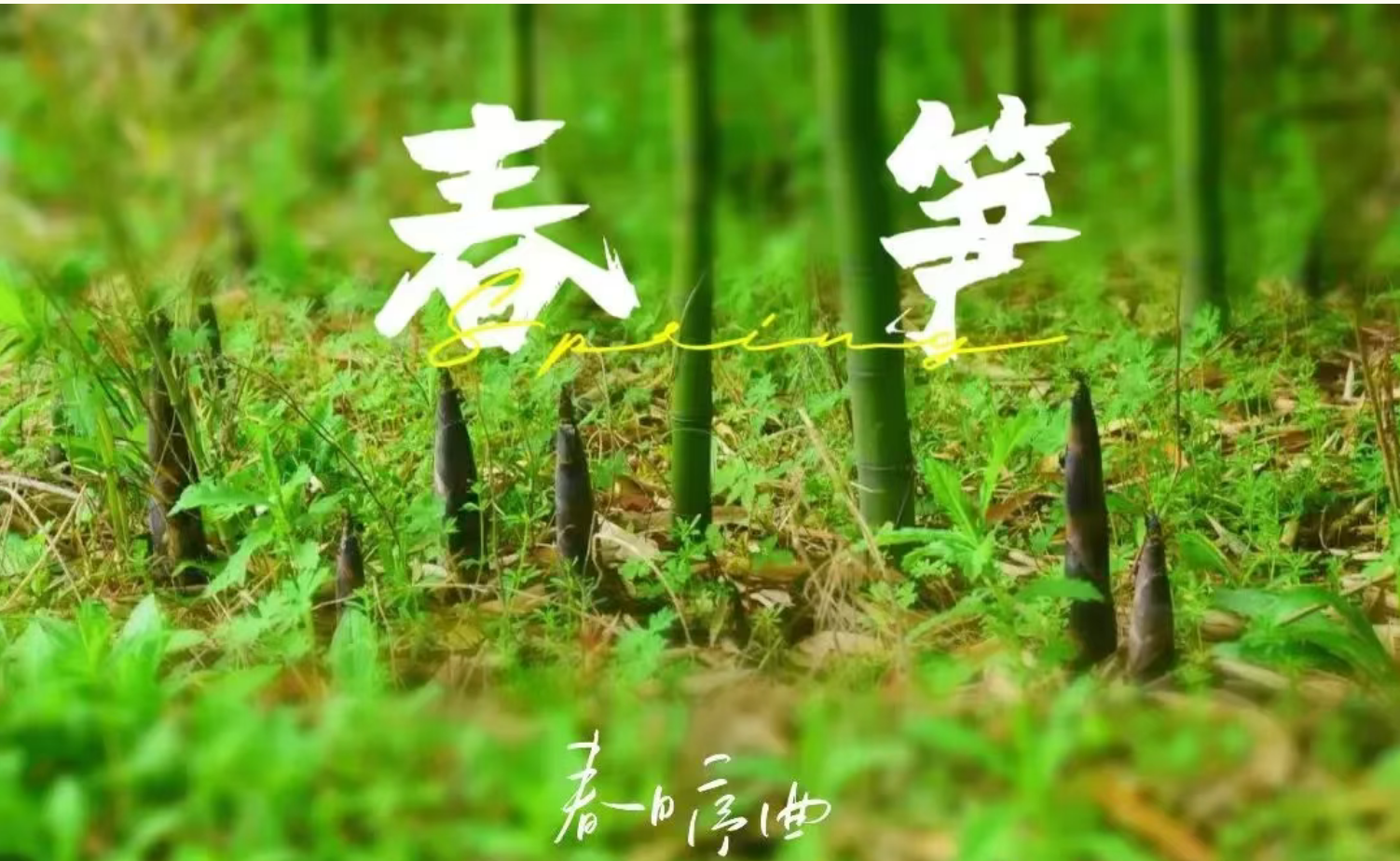 78c65ba5d096b546019bf0621c0605c6 78c65ba5d096b546019bf0621c0605c6