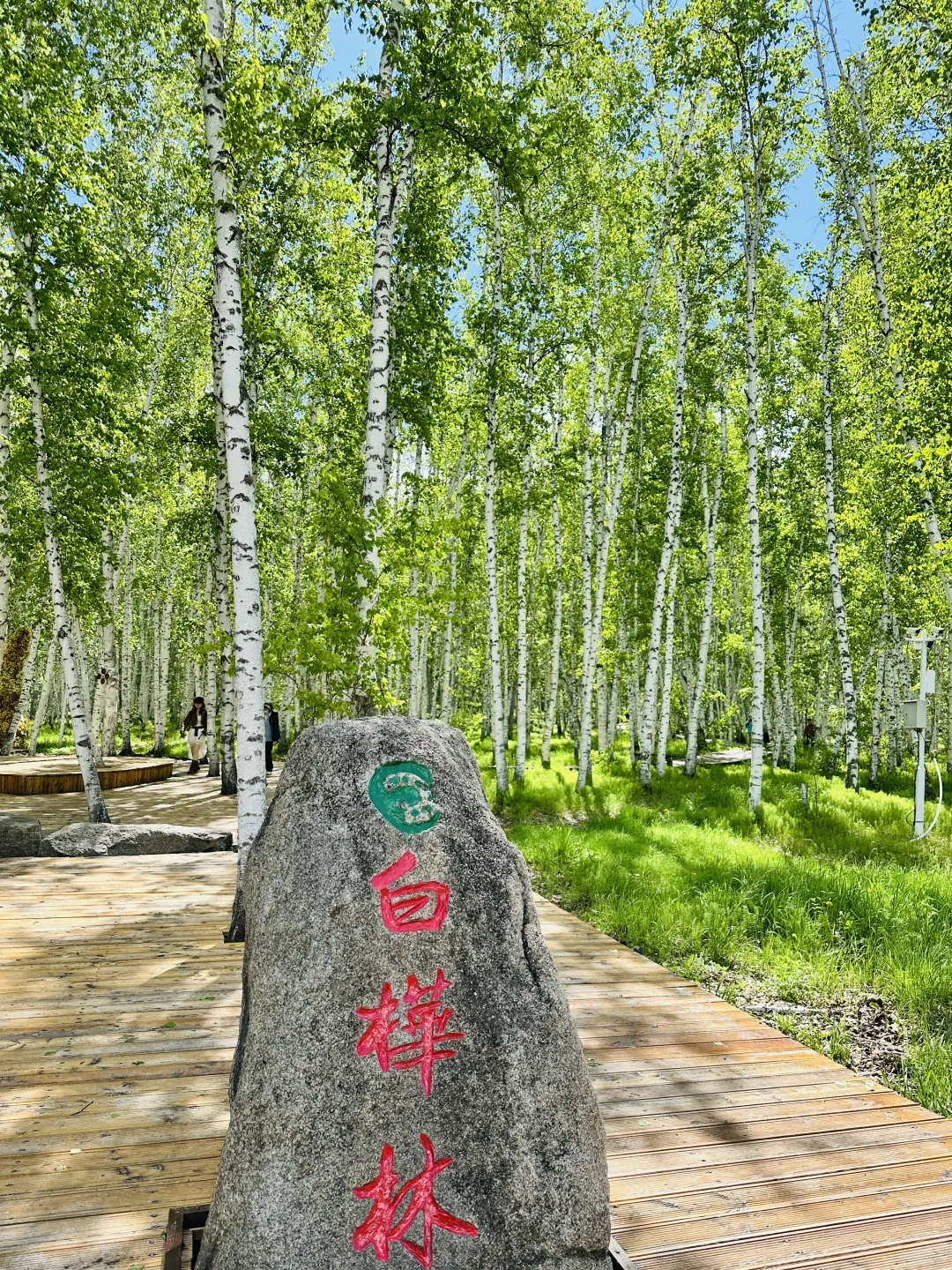 78cc9819f15779449a32696480d04c4d-sz_8044327-1 78cc9819f15779449a32696480d04c4d-sz_8044327-1