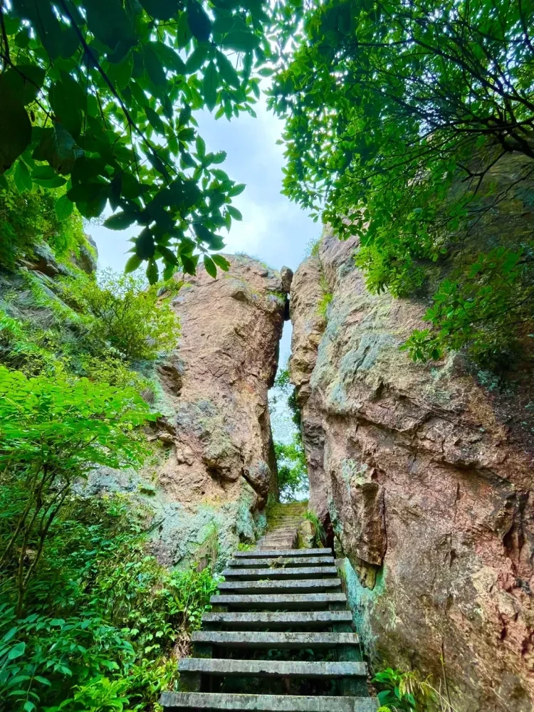 7916b34c02af413dcc11a7318d0087f2-sz_4226579