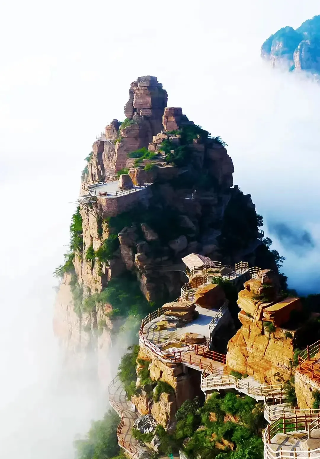 7919f7e4942a3d1f04f0b6a5f2599587-sz_480273