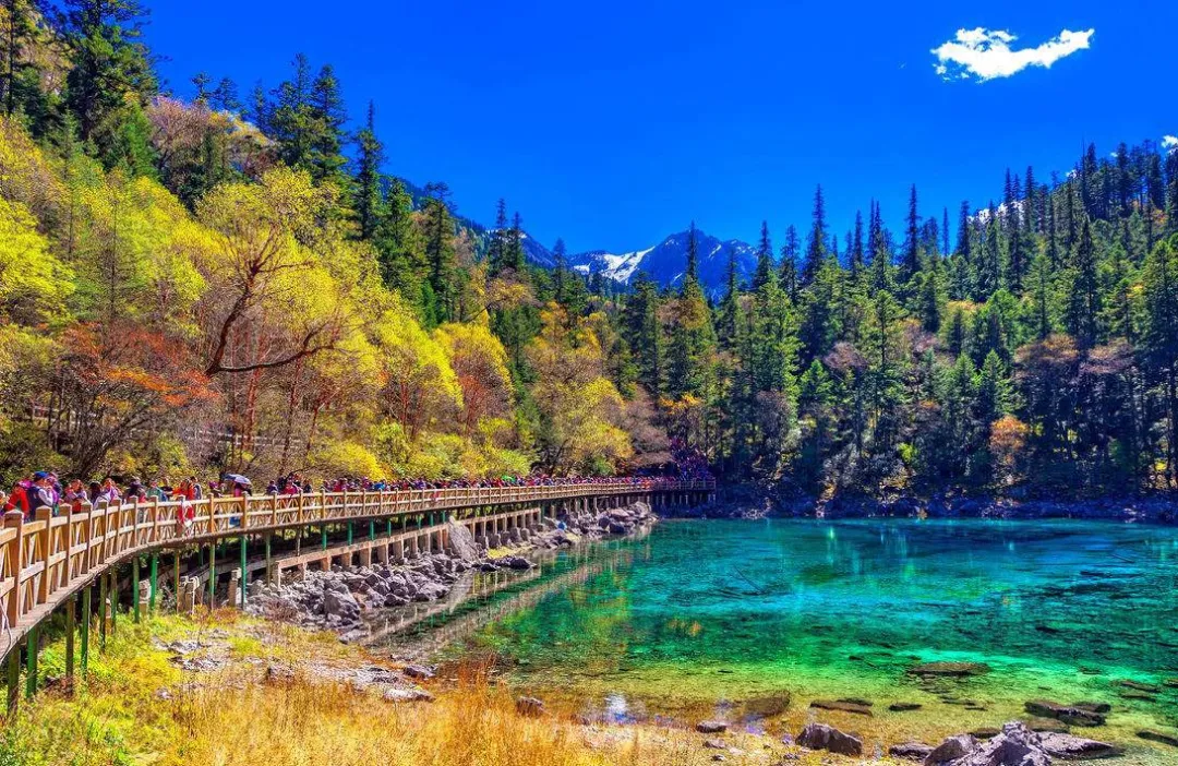 794eba71663249a0f5e5cfb728879e1e-sz_791162-1 794eba71663249a0f5e5cfb728879e1e-sz_791162-1