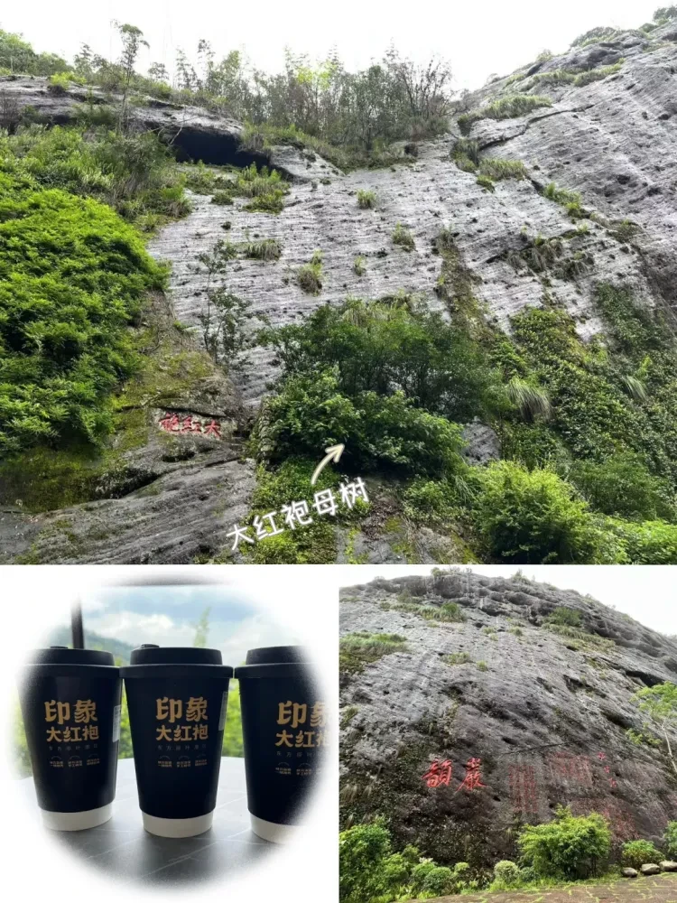 7971ed9c798bcb6e51a9bbf713351459-sz_2979578 7971ed9c798bcb6e51a9bbf713351459-sz_2979578