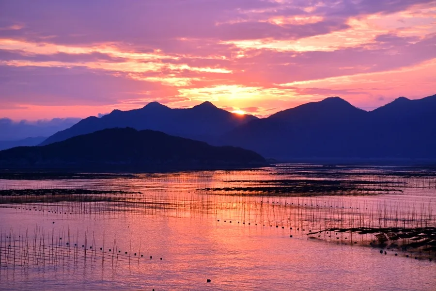 79798b86b8b542c956394992fc087aa9-sz_436525 79798b86b8b542c956394992fc087aa9-sz_436525