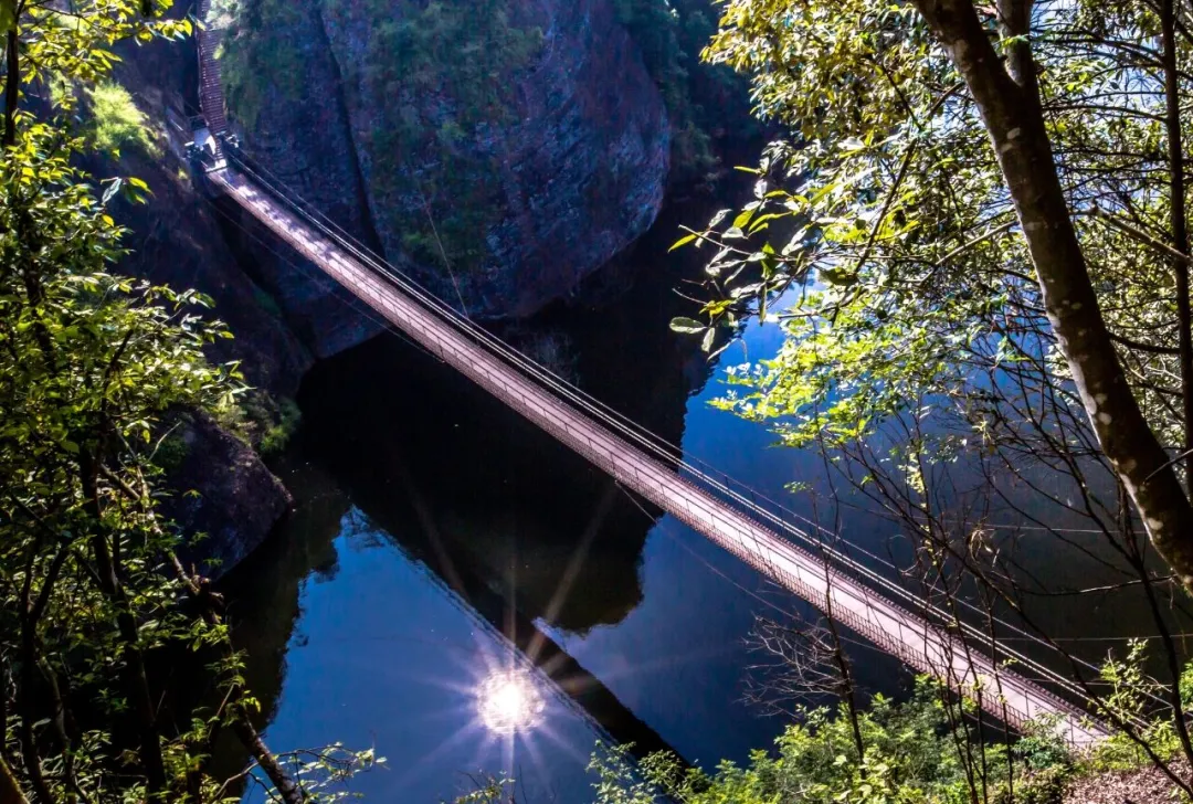 798279895f70a80a5fd9371103eb5b6c-sz_2818485