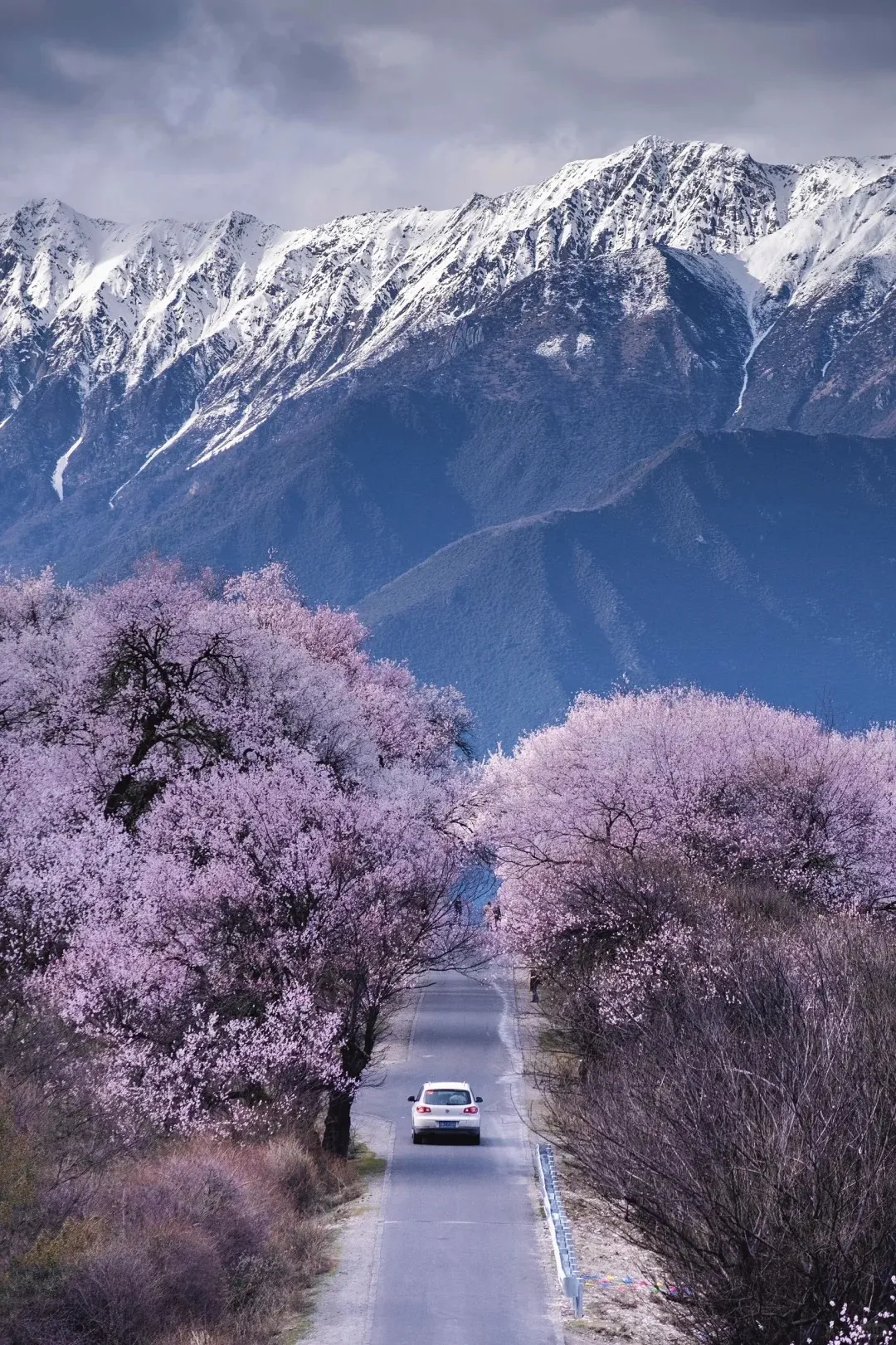 7a2345e8bce5134793b2466a1fba049d-sz_716969