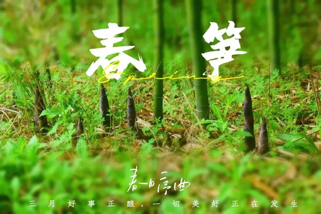 7a680a2613ec0bdf798d47eba4776154-sz_134297