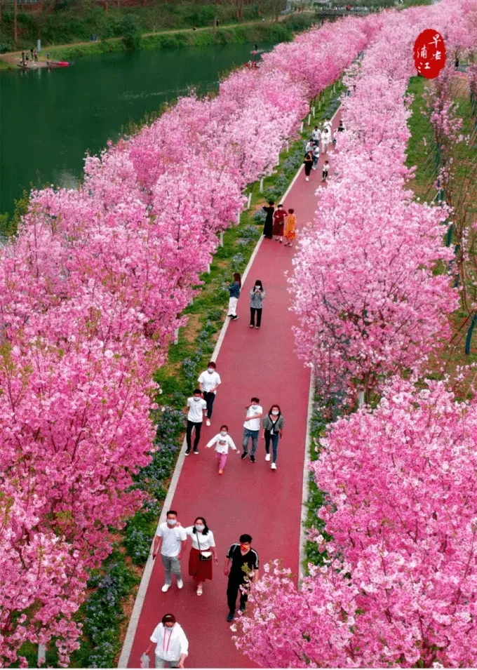 7ad437c8a1e66586111c960b3202c61f-sz_500656