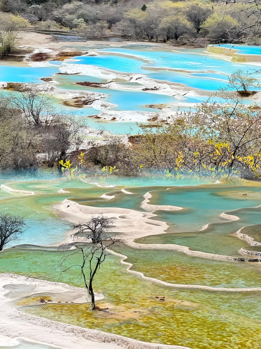 7ad6dcd75b53e0ad856f5befc3c96e33-sz_635100