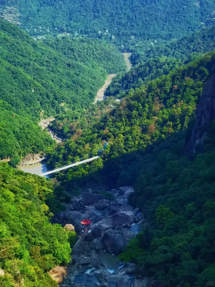 7b1d8f0c7c7874a946c7fcac4b2607cc-sz_3737373