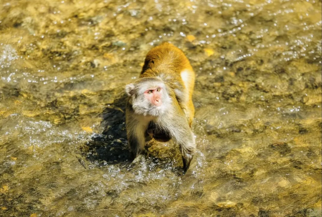 7b2bc5692db134297be394468fa9e6c7-sz_423486