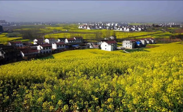 7b2ca2d648a018a8ad4cedaa2eb6f5e5-sz_66723 7b2ca2d648a018a8ad4cedaa2eb6f5e5-sz_66723