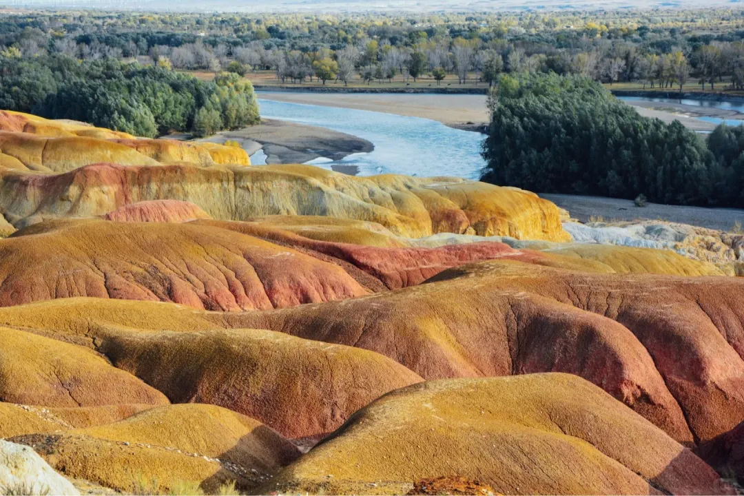 7ba336d52a9522d46c800f1f90a2d8cd-sz_686652