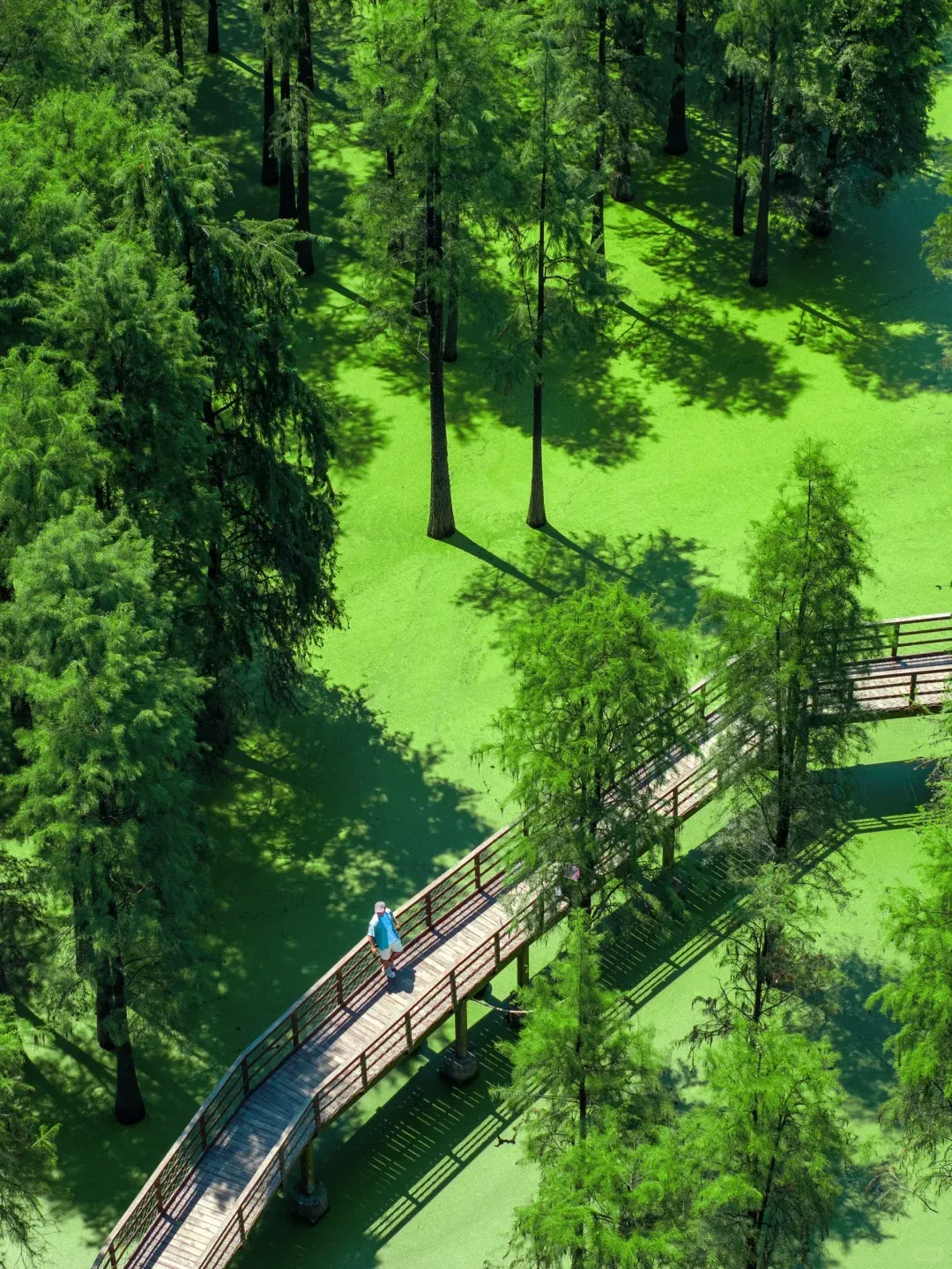 7bb6e86bc68772d484ad72837a745354-sz_4026295