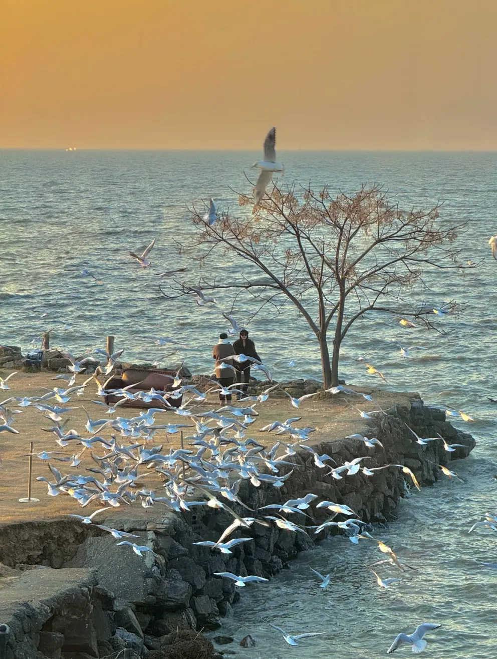 7bbacfe1a049c9f9c18a7aed75a39c24-sz_1855328