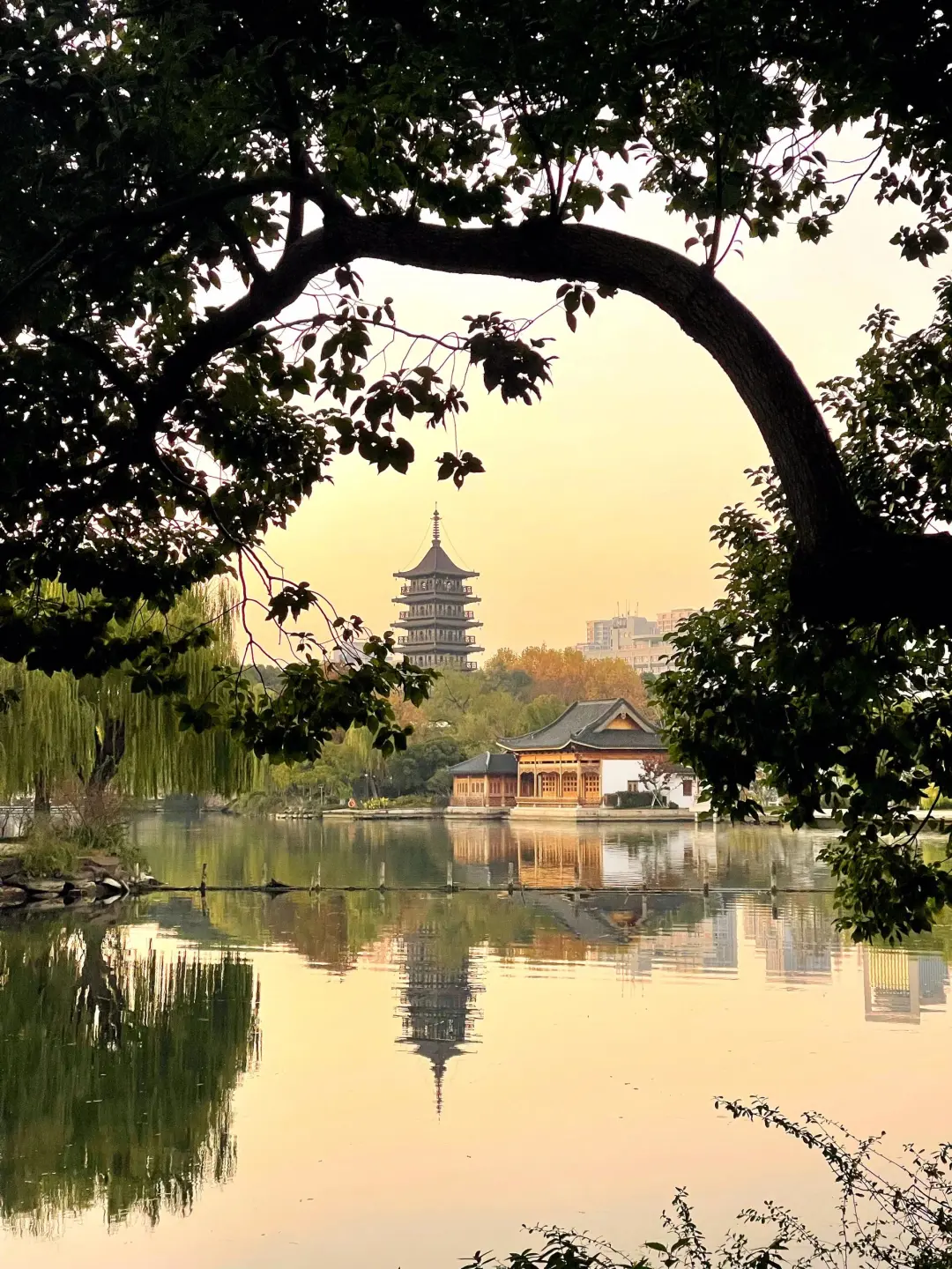 7cdbababb997e18480d878d1fab664a5-sz_848855