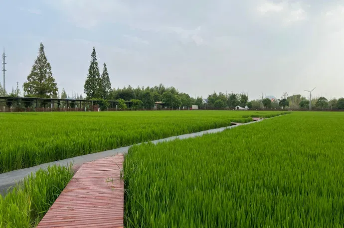 7d0b37f29eef991e3bc1c235b10f0488-sz_516704