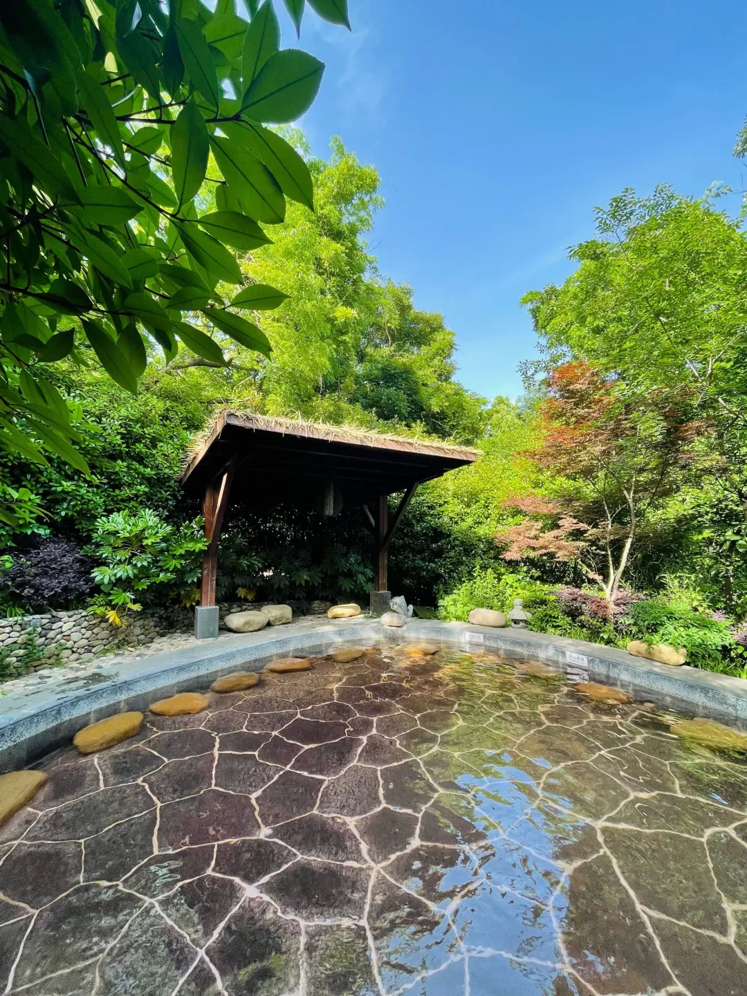 7d5298ba29e16b5d7d32c16b59a8ee9a-sz_1486017-1