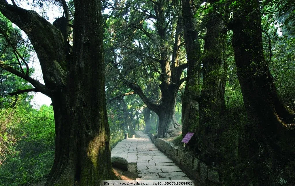 7d6e9834ee98e40769fa0f7096fe4638-sz_204555-1 7d6e9834ee98e40769fa0f7096fe4638-sz_204555-1