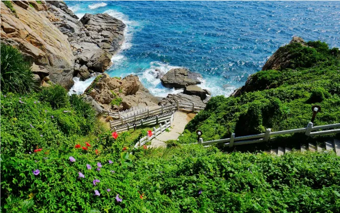 7d815d4a803dbd51e51fa0926a7533d8-sz_780127