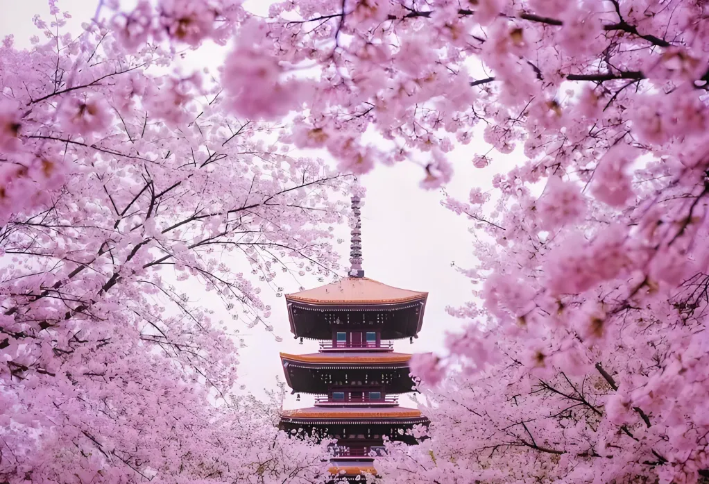 7d82596ba31612ff916a54ef25897e98-sz_1292491