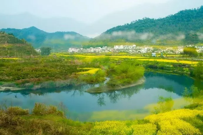 7d8ba56dc2cb6dd91d2e64048583b797-sz_57008