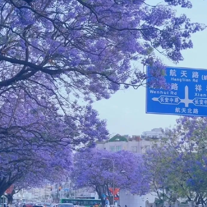 7e2754ce0c6a57275397891abf3334f8-sz_465905-1