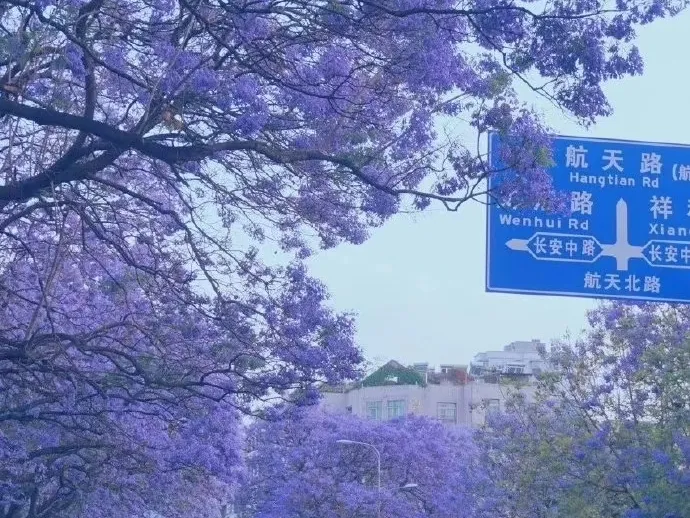 7e2754ce0c6a57275397891abf3334f8-sz_465905